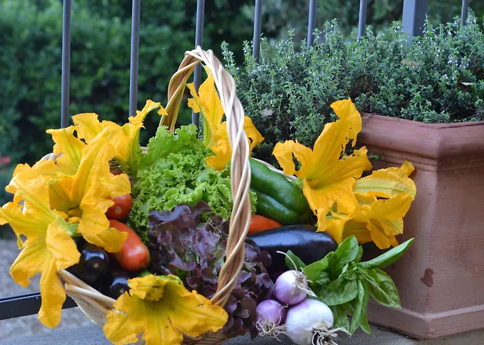 Il Poggiale Dimora Storica 4* San Casciano in Val di Pesa