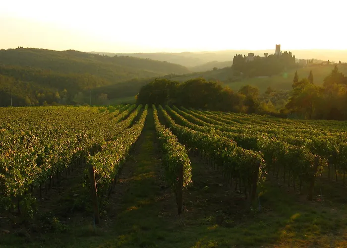 Otel Il Poggiale Dimora Storica 4*
